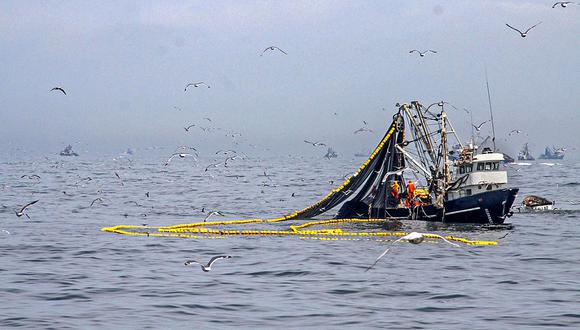 A la fecha, Produce informó que han participado en la extracción de anchoveta 594 embarcaciones. (Foto: Produce)