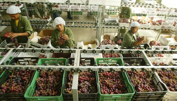 Las uvas frescas fueron el producto peruano más requeridos por el mercado norteamericano. (Foto: Adex)
