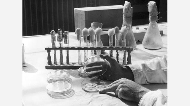Penicilina. Sir Alexander Fleming, científico.  En el año 1928 Fleming se percató de que una placa de Petri contaminado que había tirado, tenía moho que estaba disolviendo la bacteria alrededor de él. Así se dio cuenta de que éste contenía penicilina. Y a