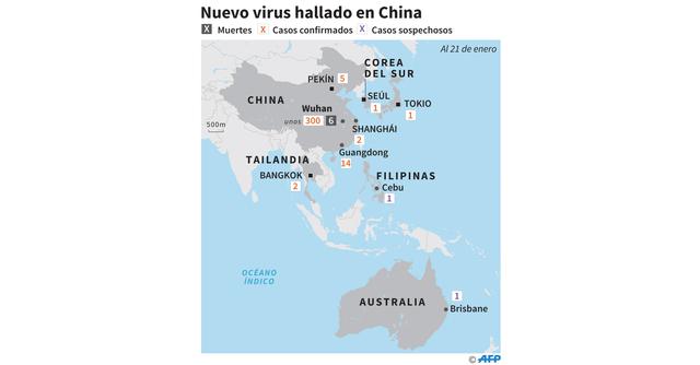 FOTO 6  | ¿Cómo se propaga?
Aunque todavía se desconocen muchos detalles, la Organización Mundial de la Salud (OMS) aseguró este lunes a través de su cuenta de Twitter que "lo más probable es que una fuente animal sea la fuente primaria de este brote de nuevo coronavirus". Por eso incidieron en que se evite o se tomen medidas de protección para el contacto con animales y se cocinen convenientemente todos los alimentos de origen animal.