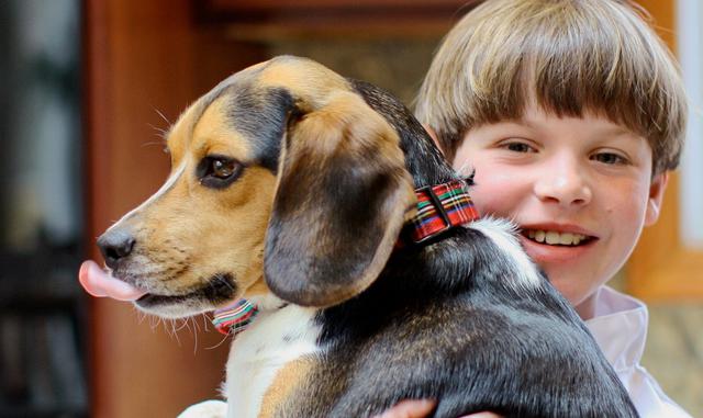 FOTO 15 | 15. Ryan Kelly

Ryan Kelly es otro chico que apareció en Shark Tank para asegurar el financiamiento de su repostería para perros, Ryan’s Bakery. A sus 11 años fue capaz de cerrar un trato con Barbara Corcoran. La compañía sigue estando operativa, pero ha sido renombrada como Ry’s Ruffery.