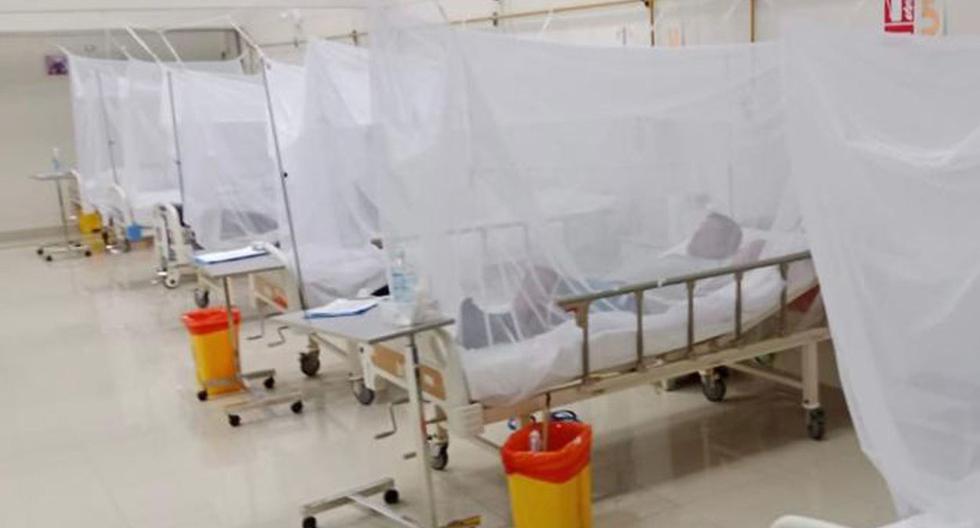 DHF |  peruviano |  Il Perù riceve chiamate preoccupate da Stati Uniti, Italia e Cile per l’epidemia di dengue |  Perù