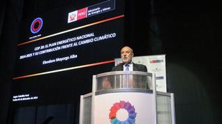 Eleodoro Mayorga: No estamos pensando en una intervención estatal en generación eléctrica