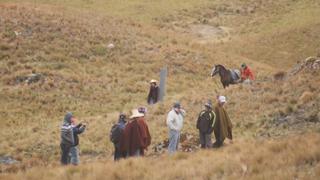 Yanacocha denuncia actos de violencia contra instalación de proyecto de alpacas en Conga