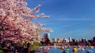 Tokio, un recorrido por la milenaria y ultramoderna capital de Japón