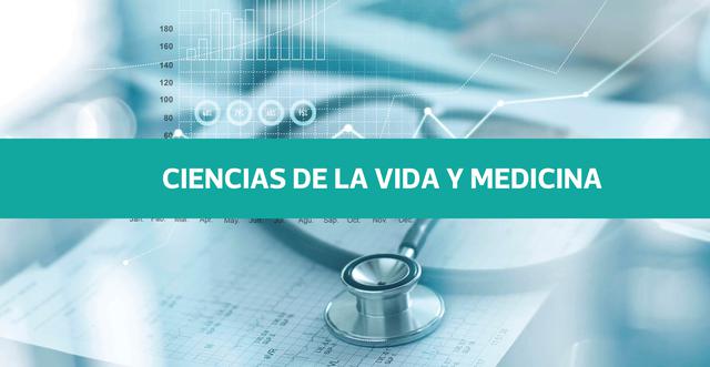 Estas son las mejores universidades