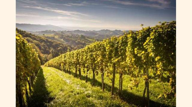ESTIRIA, AUSTRIA. Estiria es una mezcla de cultura, arte y paisajes naturales con viñedos. Te recomendamos que hagas alguna ruta de senderismo para apreciar mejor este paraje.