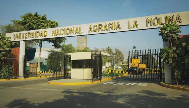 FOTO 14 | 14 Universidad Nacional Agraria La Molina