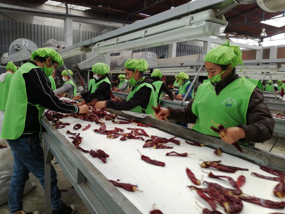 El aumento del empleo exportador va en línea con en el buen dinamismo de algunos sectores, entre los que resaltan la agroindustria y la minería. (Foto: Difusión)