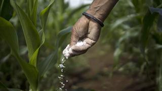 Cierre de fábricas de fertilizantes siembra riesgos a agroindustria peruana el 2022