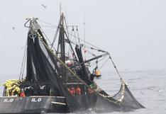 Produce: Segunda temporada de pesca de la anchoveta iniciará el 23 de noviembre
