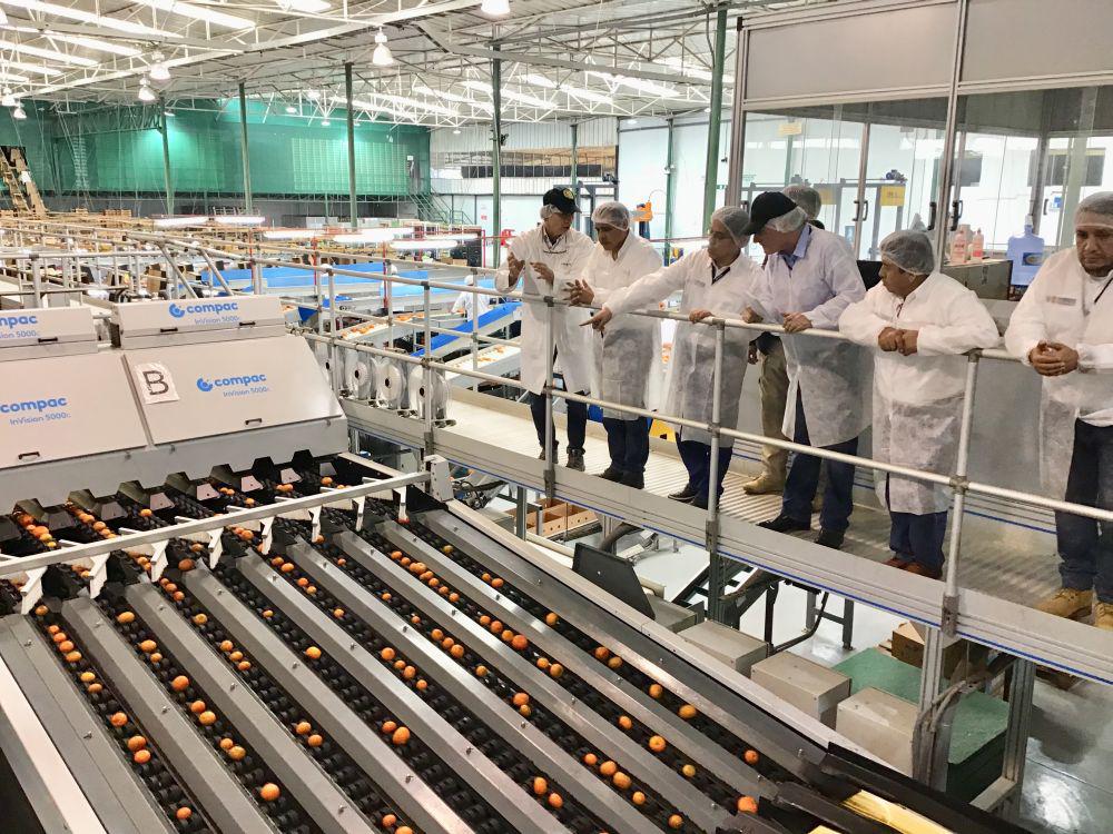 El ministro de Agricultura, Gustavo Mostajo (segundo de la izquierda), estuvo en Ica recorriendo plantas de agroexportación. (Foto: Difusión)