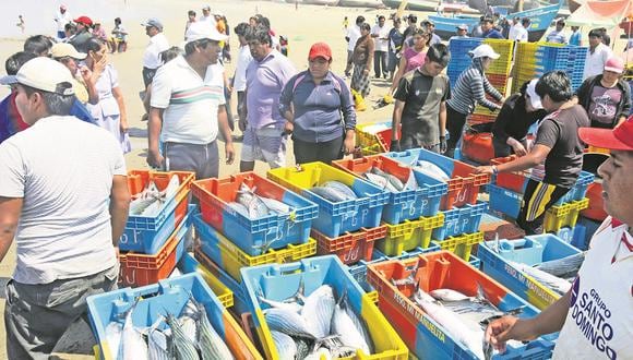 Terminales pesqueros mayoristas tendrían baja demanda, según Anepap.