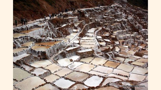 1Salinas de Maras, Cuzco, Perú, “Un visita muy agradable!”9