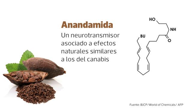 Foto 2 | La anandamida es un neurotransmisor que influye en los sistemas fisiológicos como el dolor, la regulación del apetito, el placer y la recompensa.