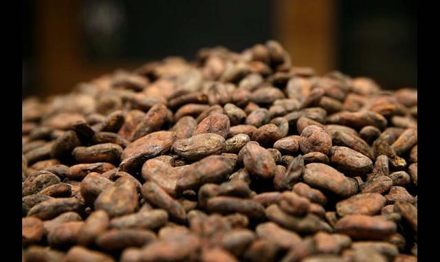 Fotos 8 | Cacao. Es muy rico en magnesio, y eso aporta grandes ventajas para la nutrición de nuestro sistema nervioso. Además, es un antioxidante beneficioso para la buena salud del cerebro.