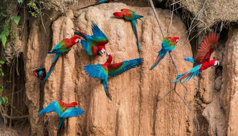 (Foto: Shutterstock)