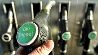 Gobierno argentino fija nuevos valores de biocombustibles para mezcla con gasolina y diésel