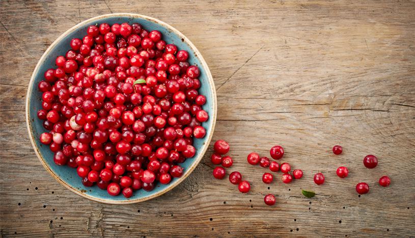 (Foto: Shutterstock)