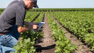 Las tres tecnologías prioritarias para ‘los mercados del mañana’, según WEF 