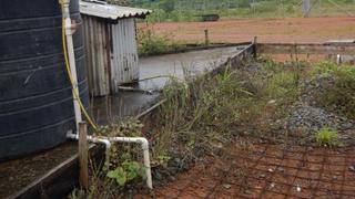 La FAO pide US$ 30 millones a Estados Unidos para ayudar a combatir el ébola