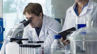 Prudencia y vigilancia en la comunidad científica ante virus “mutante” en visones