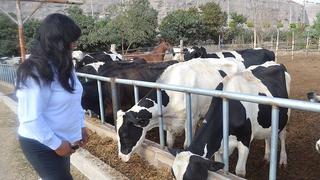 Ganaderos son incluidos en programa FAE - Agro y podrán acceder a créditos con bajos intereses