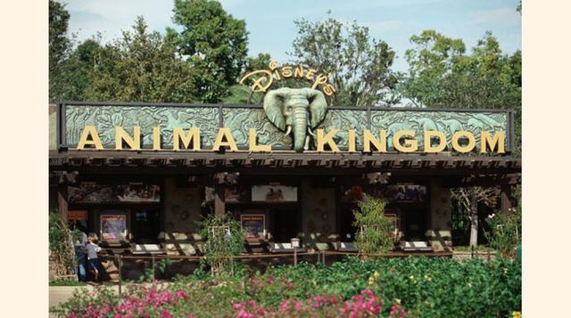 Animal Kingdom de Disney, Florida, Estados Unidos. Es un parque temático de animales. Fue el cuarto construido en el resort. Fue inaugurado en 1998 como el parque temático Disney más grande del mundo, cubriendo más de 200 hectáreas. También es el primer p