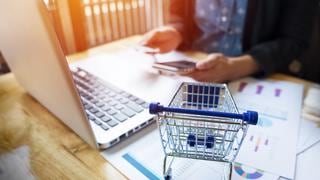 E-commerce: pautas para prevenir estafas por internet