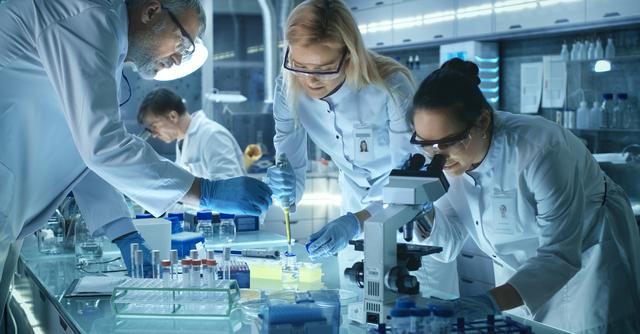 FOTO 8 | 8. Investigación experimental (Foto: iStock)