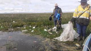 Puno: una vez más declaran en emergencia cuatro distritos por contaminación de agua