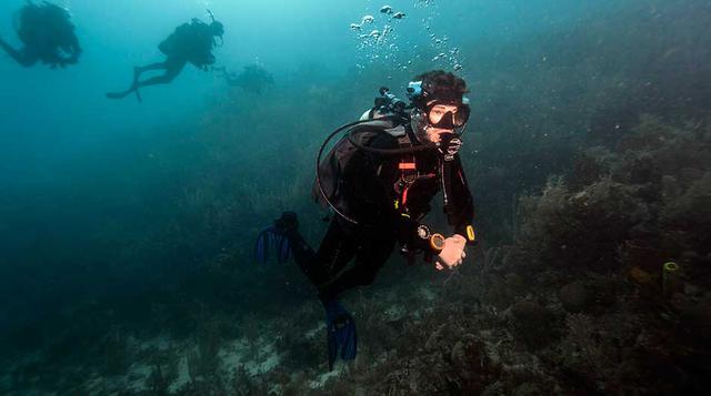 5. Invertir en una carcasaPara muchas de las fotografías, Lowy usó una cámara Sony a7R II de 42 megapixeles, con un lente zoom 16×35 protegido por una carcasa de Nauticam, un fabricante de moldes de calidad superior. La estructura sellada al vacío resiste