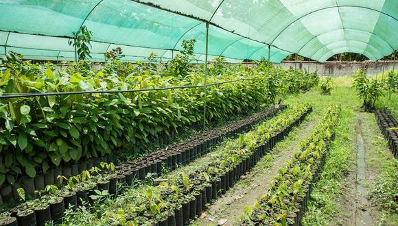 El Midagri señaló que destinará S/ 1000 millones para obras del sector agrario