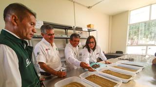 Nueva variedad de caña de azúcar incrementará en un 80% el nivel de cosecha 