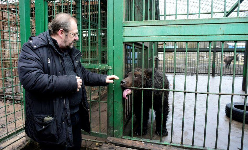 "Los animales salvajes pertenecen al Estado, pero el Estado no hace casi nada por ellos", Svetlana Ilinskaia, codirectora de una ONG que protege animales. (Foto: AFP)