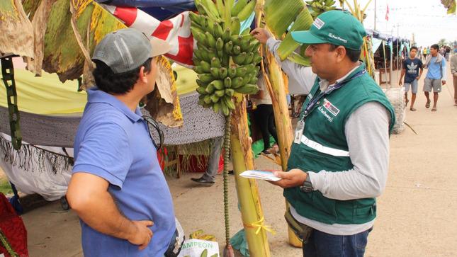 Se recomienda no ingresar al país material de propagación como plantas y partes vegetativas de banano, plátano o artesanías hechas con esos materiales, sin contar con la autorización del Senasa. (Foto: Minagri)