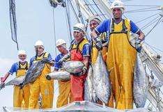 CIAT: En julio se define si hay ampliación de la cuota de atún para Perú