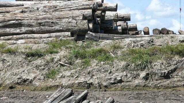 Juan Escobar Guardia es el viceministro interino de Políticas Agrarias, ante la renuncia de Juan Carlos Gonzáles Hidalgo. Escobar es economista por la Universidad San Cristóbal de Huamanga. Se especializó como analista financiero en el Instituto de Finanz
