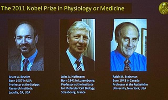 2011: Bruce Beutler (Estados Unidos), Jules Hoffmann (Francia) y Ralph Steinman (Canadá), por sus estudios sobre el sistema inmunitario que permite al organismo humano defenderse contra las infecciones, favoreciendo la vacunación y la lucha contra enferme