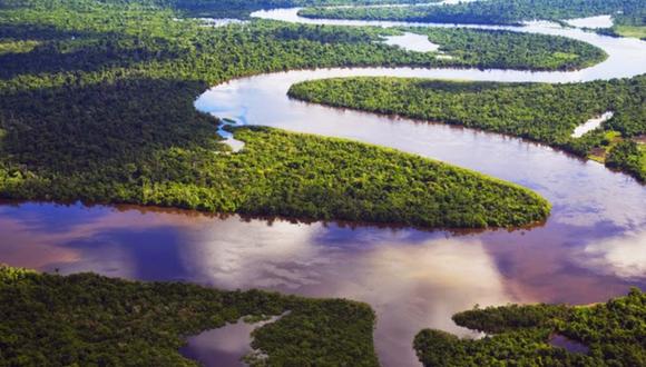 "La bioeconomía en la Amazonía tiene el potencial de crecer significativamente". (Foto: Andina)