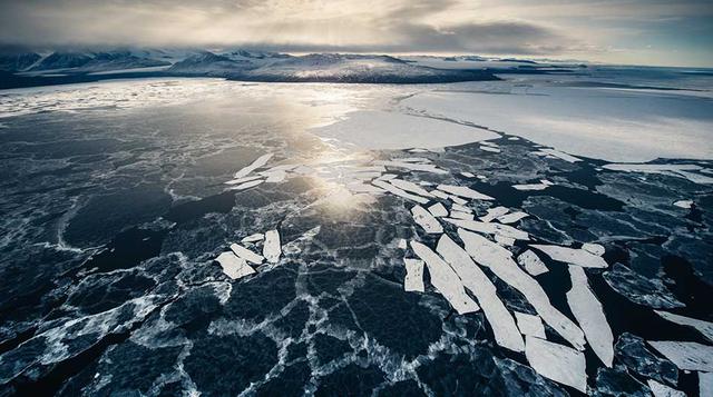 Viernes 1 de diciembre. Una enorme área del Mar de Ross, cerca de la costa antártica, comenzará a ser protegida como la mayor reserva marina del mundo. (Foto: Kelvin Trautman)