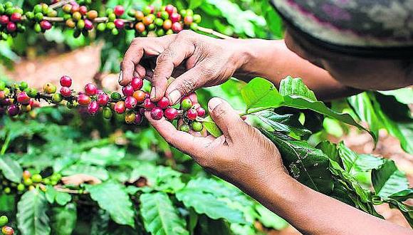 Cuarenta plantas para procesar café y cacao llegan al Vraem el 2020