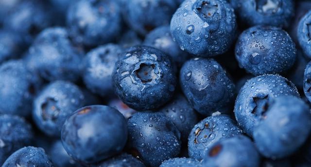 FOTO 4 |  Las exportaciones peruanas de arándanos superarían las de Chile a más tardar en el 2021, según estimaciones de Proarándanos. (Foto: Getty)