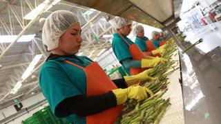 “México, Argentina y Brasil buscan terrenos para producir cultivos en Perú”