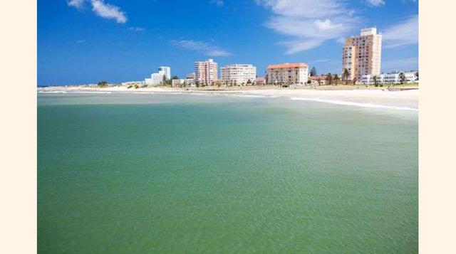 Port Elizabeth se encuentra en la provincia oriental del Cabo. Es un punto muy concurrido por los turistas por sus playas y las aguas de la Bahía de Algoa, en la que se pueden practicar deportes acuáticos. (Foto: msn).