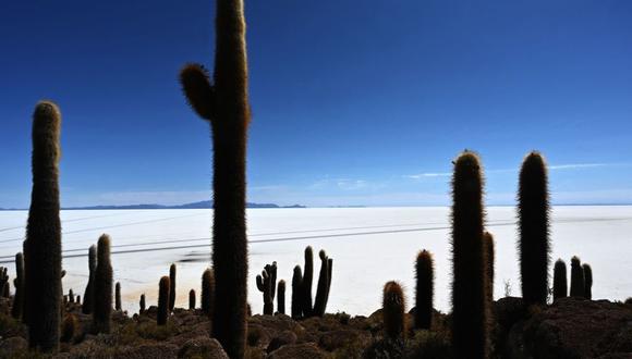 Argentina, Bolivia y Chile cuentan con 52 millones de toneladas, casi el 60% del litio que existe en el mundo.