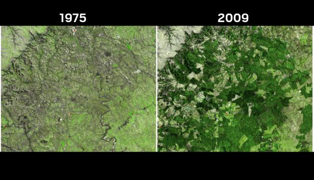 Bosques de Uruguay| La NASA indica que este país ha logrado aumentar su superficie forestal de 45 mil a 900 mil hectáreas, pero que ha ido disminuyendo la diversidad de animales y plantas.  (NASA)