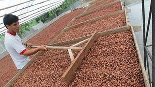 EE.UU.: Cacao de Perú y Colombia operará con recargo a partir de 2015