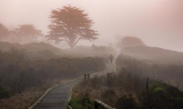 Foto 21 | Dónde: Costa central, California. Kristi Marcelle, editora de viajes en Ciao Bambino, dijo que la costa central se extiende aproximadamente desde Santa Bárbara a Monterey y la cadena de pequeños pueblos entre San Simeon y Pismo Beach es una sorpresa inesperada para muchos excursionistas de la costa de California. Aquí es donde la ciudad de surf de SoCal se encuentra con el pueblo de pescadores, y las nutrias y los elefantes marinos comparten el centro de atención con las obras maestras europeas en el castillo de Hearst. “Vete lejos de la costa y en pocos minutos te encontrarás en las bodegas de Paso Robles, con degustaciones que son la mitad del precio de Napa y Sonoma. Adelaida está abierto todos los días; para una degustación especial en la cima, prueba su Vineyard Tour, Taste y Tailgate. Un énfasis en comer local y fresco crea opciones gastronómicas dignas de comer en toda la región. Pismo Beach y la pintoresca Moonstone Beach en Cambria ofrecen la mayor selección de alojamiento con el mejor valor fuera de las vacaciones y el verano. Los huéspedes del Cambria Shores Inn se relajan todas las noches en las sillas Adirondack, que ofrecen una ubicación perfecta para disfrutar del atardecer. Luego, tome un paseo de cinco minutos hasta Sea Chest Restaurant para comer mariscos locales o diríjase al Cracked Crab en Pismo Beach donde el equipo de Deadliest Catch cenó y todos los cangrejos están en el menú”, dijo la experta.
