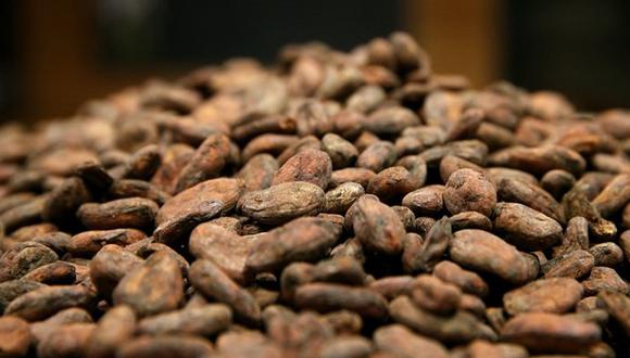 FOTO 8 | Cacao. Es muy rico en magnesio, y eso aporta grandes ventajas para la nutrición de nuestro sistema nervioso. Además, es un antioxidante beneficioso para la buena salud del cerebro.
